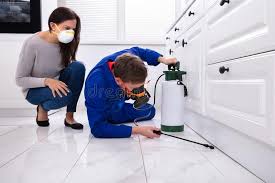 Best Pest Prevention Services  in Dundee, OR